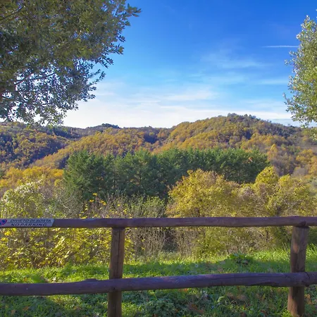 A Il Frassino Del Borgo Di Ghiora By Interhome *