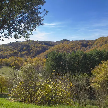 A Il Frassino Del Borgo Di Ghiora By Interhome